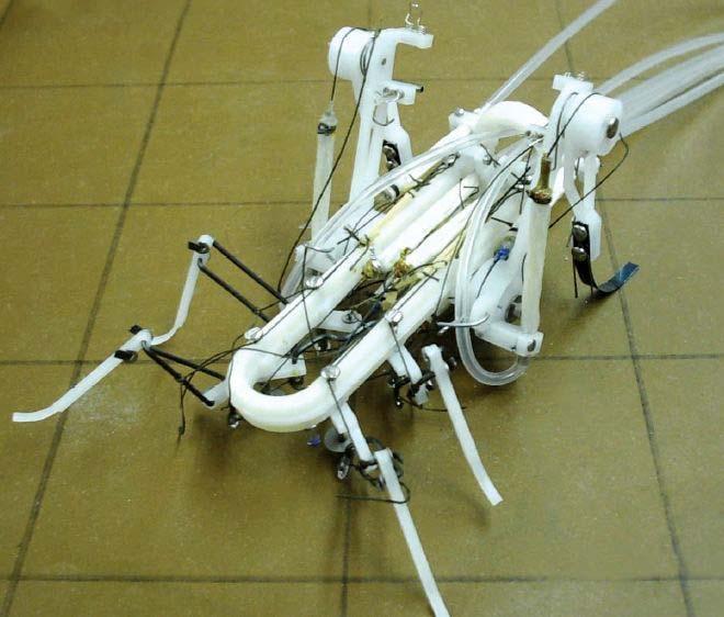 Figure 8. Robot inspired in a cricket (Quinn, 2007). Studies indicate that all of the calculations (cinematic, dynamic, control, etc.) would have to be accomplished every 20 meters.