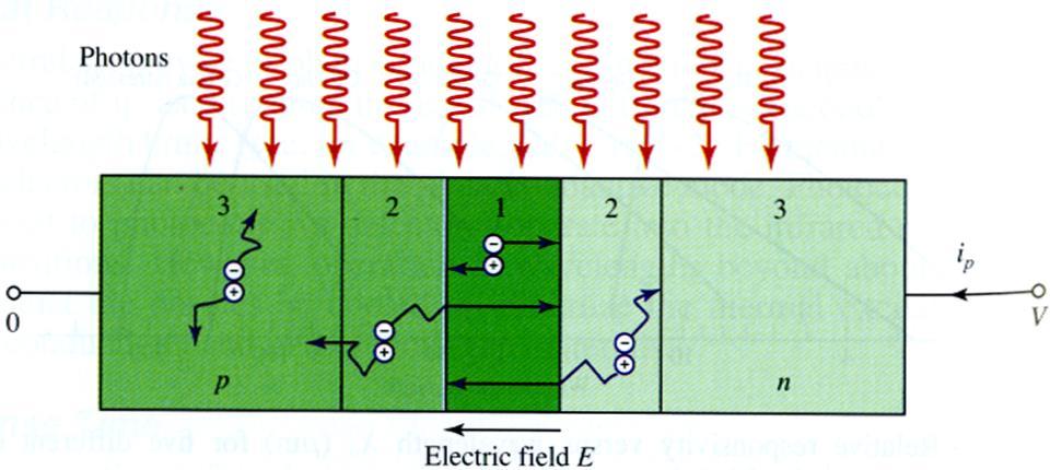 p-n photodetector Photons are absorbed and e-h are generated everywhere, but only e-h in presence of E field is transported. A p-n junction supports an E field in the depletion layer.