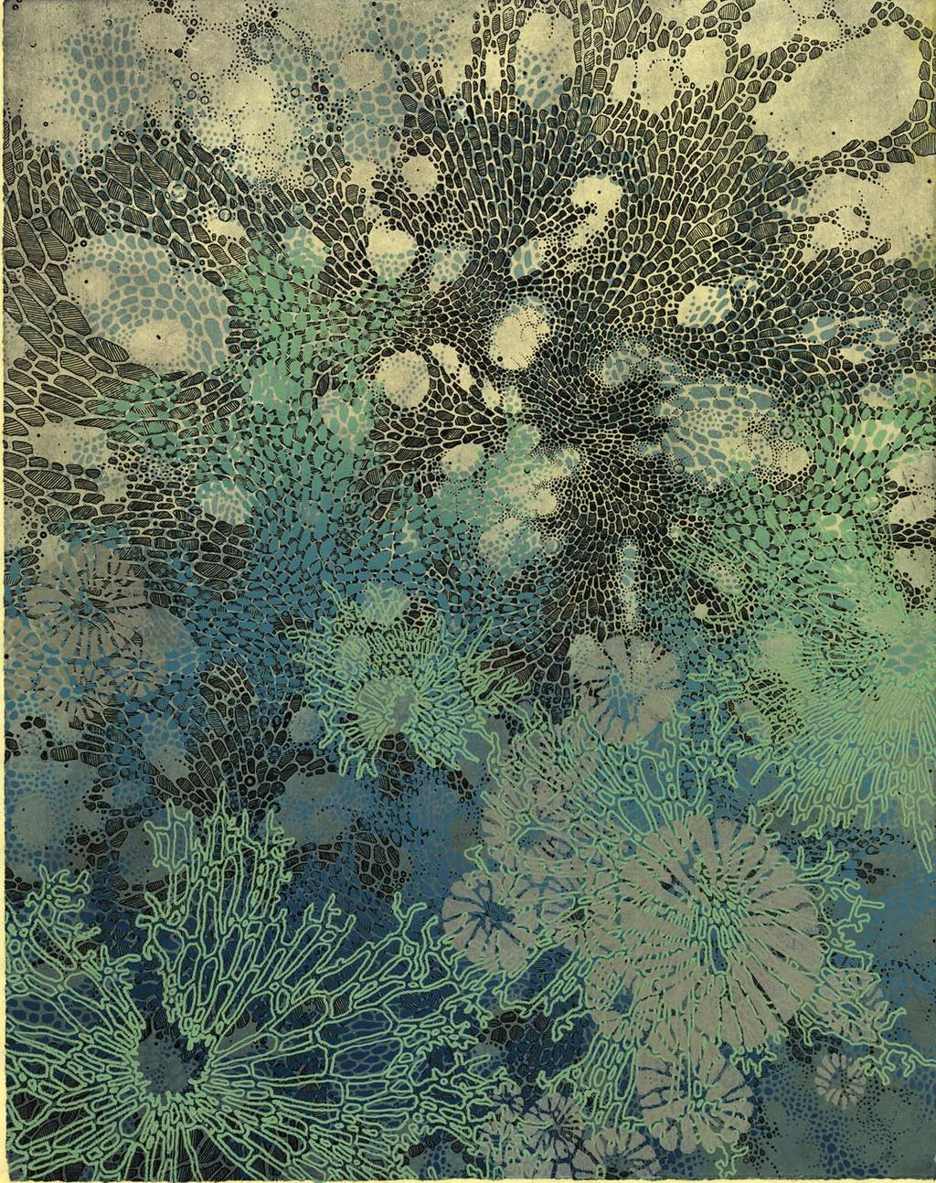 American artist, Lauren, has been inspired by the sea to create work that is extraordinary, unique and meticulous, capturing in printmaking and printstallations the intricate beauty and poetry of