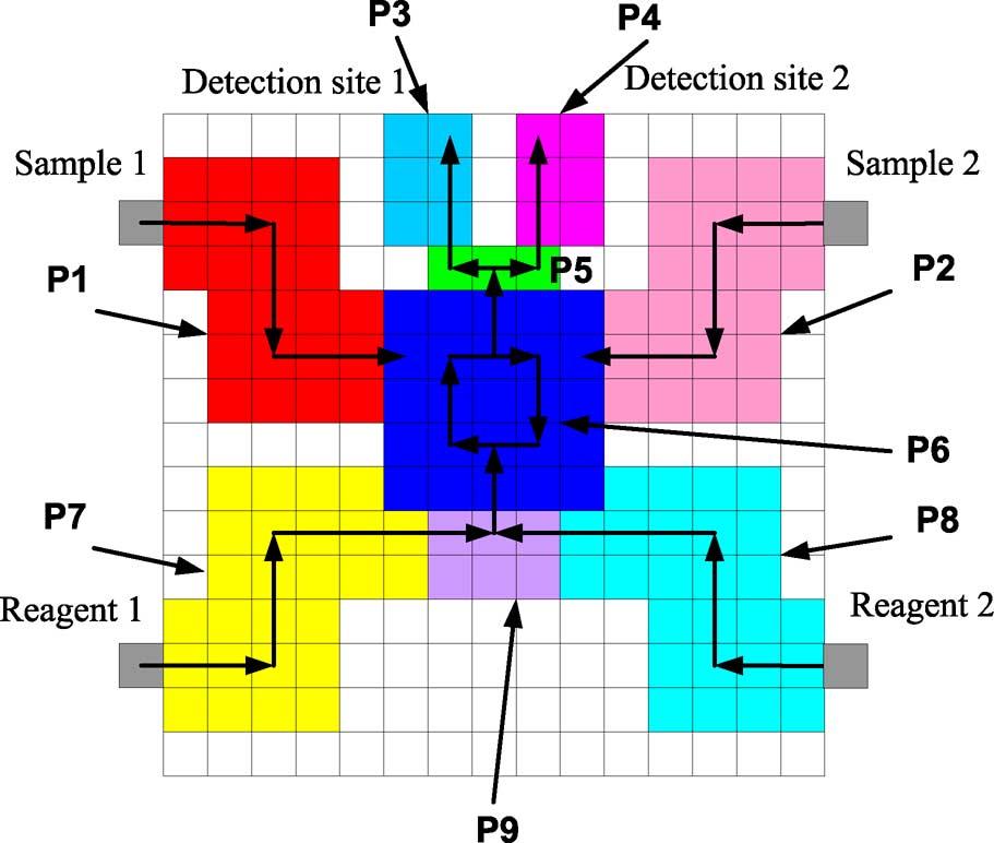 ZHAO AND CHAKRABARTY: DIGITAL MICROFLUIDIC LOGIC GATES 261 Fig. 23. Microfluidic array partition for the multiplexed bioassay.