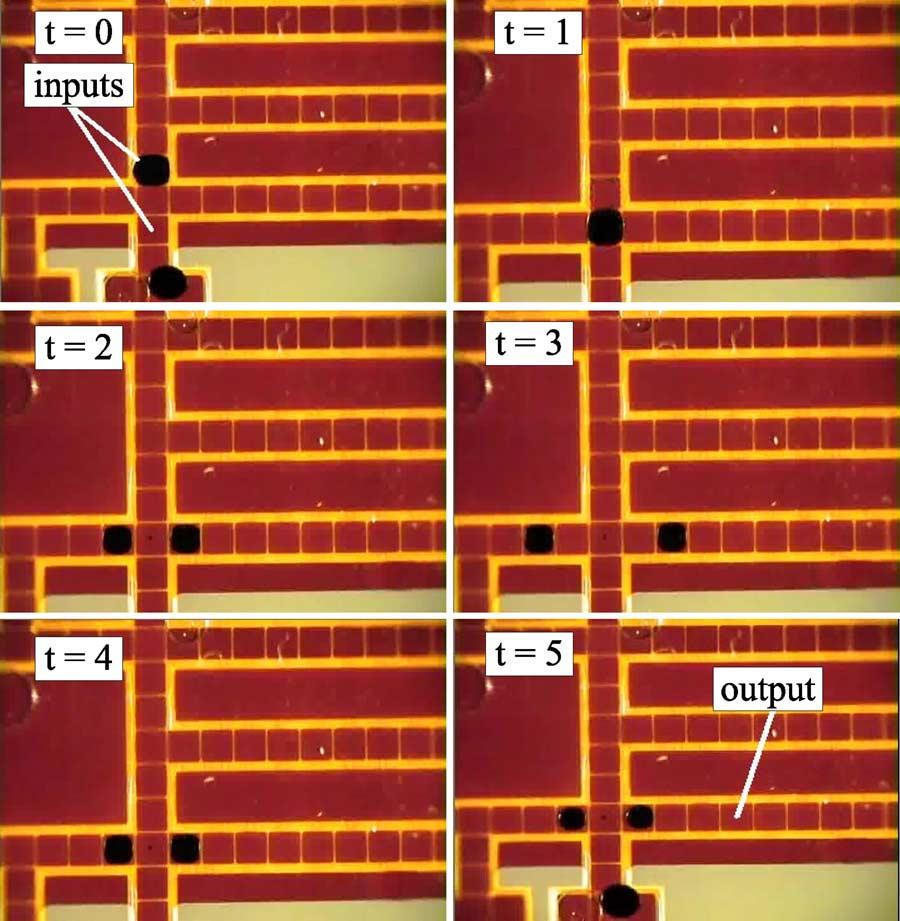 52 droplet on electrode 4 cannot be moved to electrode 7. Fig. 8. On-chip cycle-by-cycle operation on a fabricated chip for the AND gate with input 10. droplets, as shown from 1 to 4.