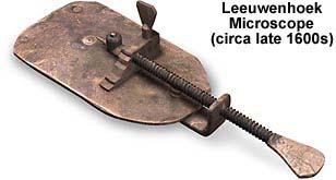 van Leeuwenhoek s microscope Year: 1600s Tiny