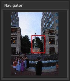 Basic Use NAVIGATOR WINDOW The Navigator window allows navigating the image by dragging the red square cursor or by clicking on a