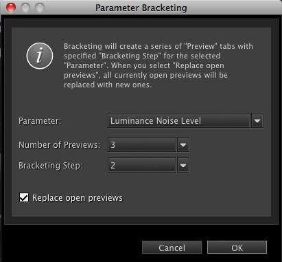 Bracketing In addition to creating custom multiple previews, Noiseware provides an automated bracketing feature for quickly generating preset series of previews for noise reduction and noise level