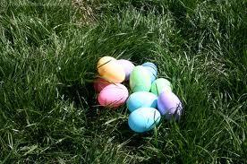 Egg Rolling Equipment : Different coloured boiled eggs or plastic eggs Plain boiled eggs or plastic eggs Each player needs a different colour of hard-boiled egg for this game.