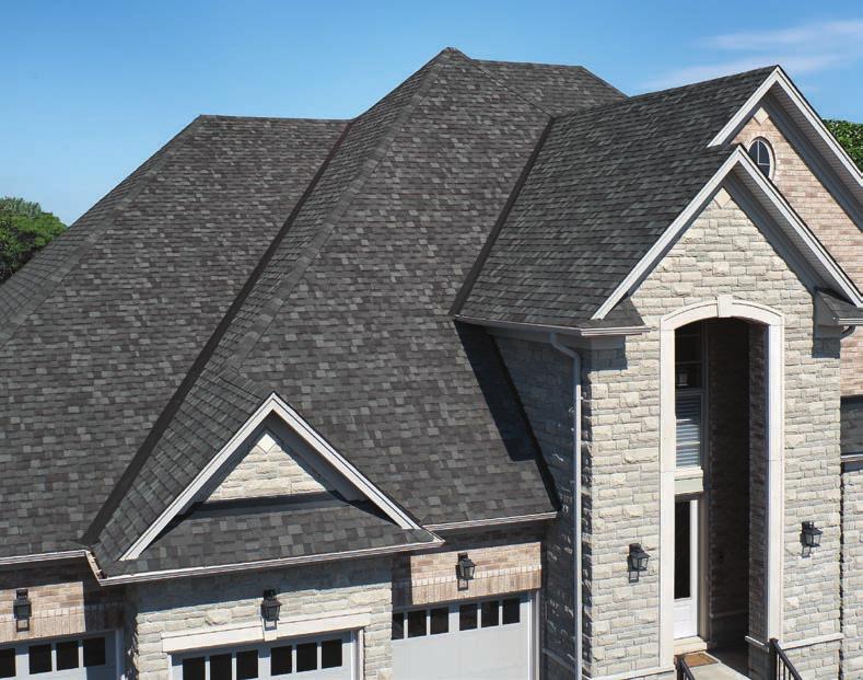 options in the roofing industry.