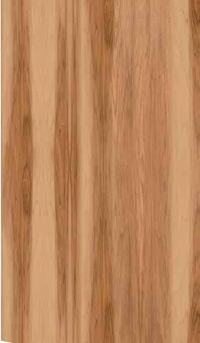 PANEL Recessed Raised Slab Wood Type CHERRY