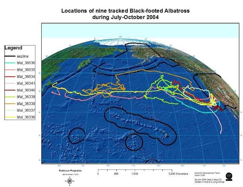ESULTS OF 2004 TRACKING: Tracked albatrosses ventured outside of U.S. EEZ, with 61% locations in the high seas Unpublished data Hyrenbach et al.