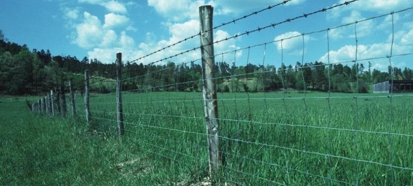 However, before starting the fencing project, be sure to review all fencing documents available through the NRCS (http://efotg.sc.egov. usda.gov/treemenufs.aspx).