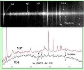 Spectrographs/Spectrometer