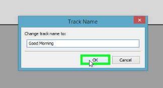 Click on the words Audio Track to open the track menu and select Name at the top of the list.