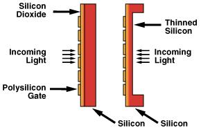 Front- and Backside-Illumination, Intensified CCD Frontside Backside Photocathode MCP