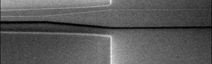 (b)the top view SEM image of the 1.