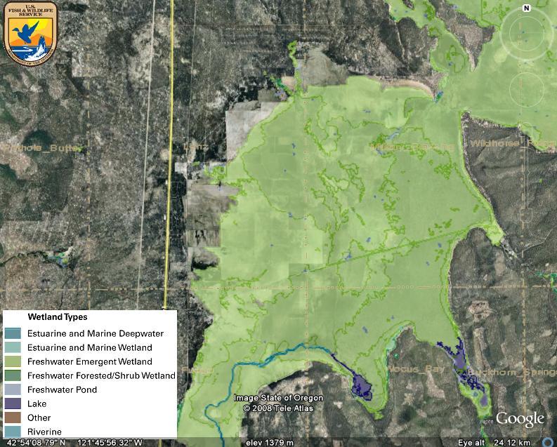 Figure 4: USFWS National Wetlands Inventory (2008) layer of the lower portion