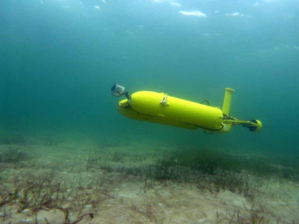 Automated Underwater Vehicle