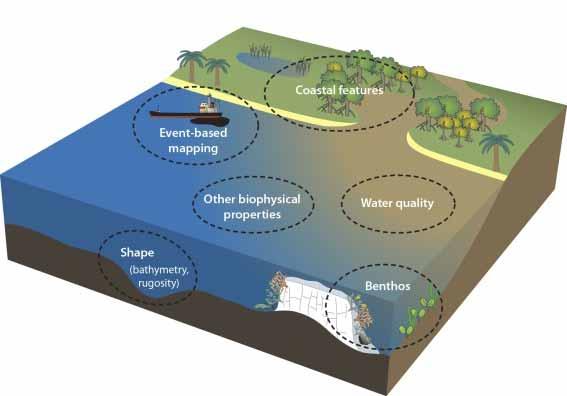 Remote sensing application to coral reefs and surrounding environments has become increasingly critical