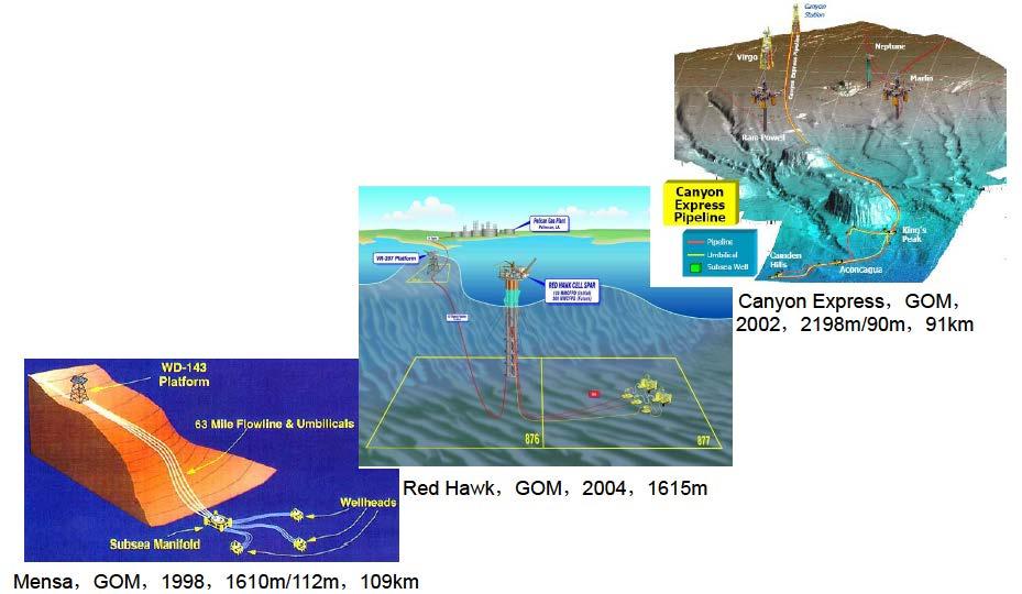 Typical Deepwater Gas Development Scenarios in GOM The Subsea Mensa Field in 1610m water depth tie-back 109km to a platform at West Delta 143 in 112m water depth; The Red Hawk Cell Spar in 1615m