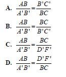4. Figure A'B'C'D'F' is a dilation of figure ABCDF by a scale factor of 1. The dilation is centered at ( 4, 1). 2 Which statement is true? 5.