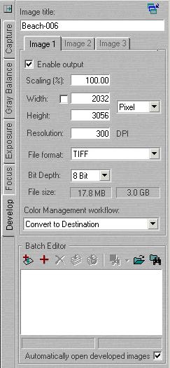 Processing Images Batch Editor: use this field for managing the batch processing of images.