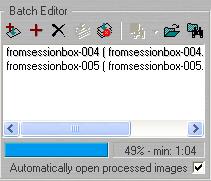 Processing Images use the remove button to remove selected images from the batch. use the process batch button to start the processing of the image batch that you have created.