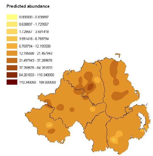 Figure 8 Maps of predicted abundance for two example bird species, Wren and Meadow Pipit in Northern Ireland using BBS data for 2000.