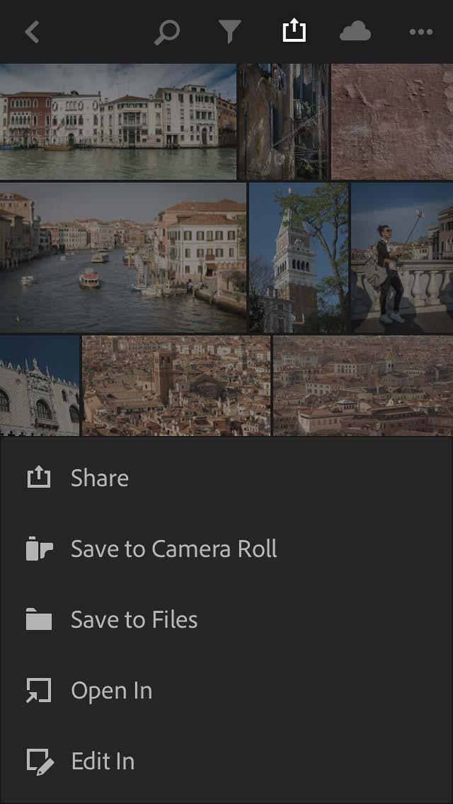 To export photos from Lightroom CC for ios, tap on the Export button circled above left.