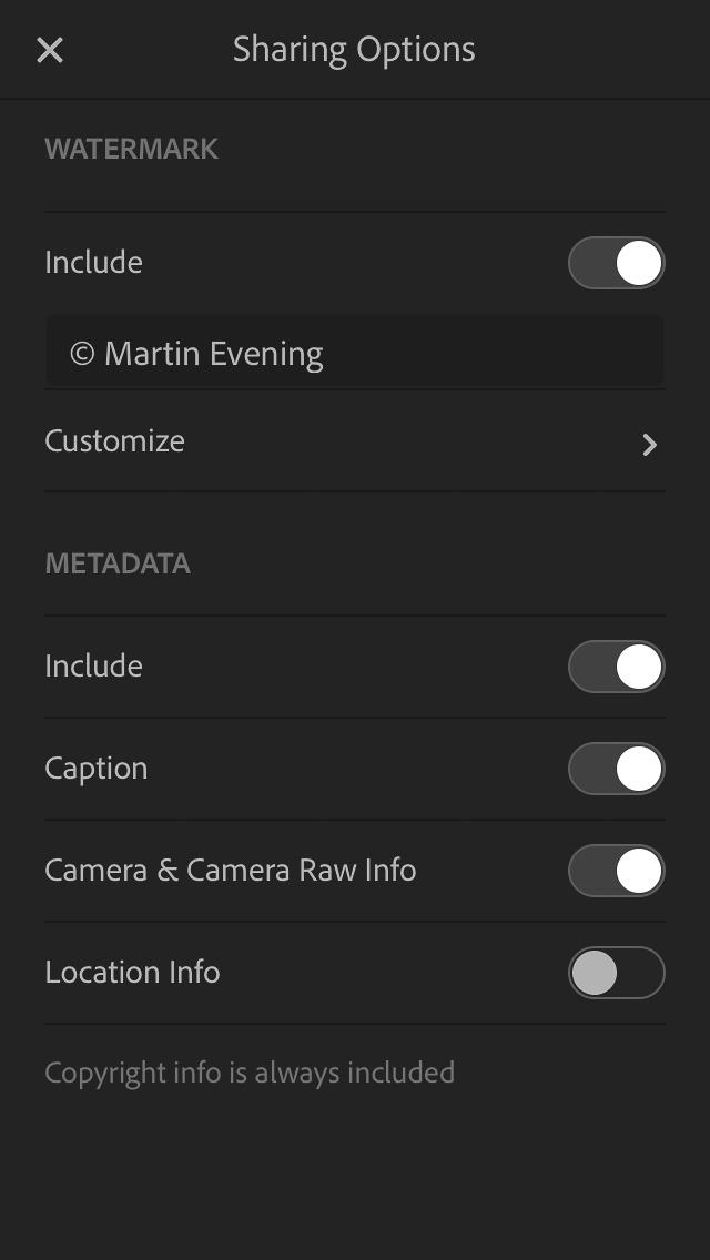 2. Alternatively, if you tap on the Export button in Detail view mode this pops the options shown on the left, where you can also