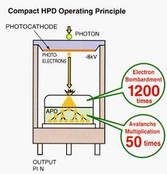 Fast-Timing Detector Development Hybrid Avalanche Photodetector Hamamatsu R7110U-07: combination PMT+APD