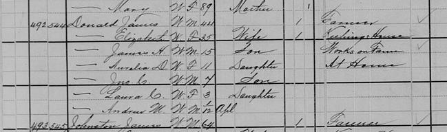 1880 U.S. Census, Rockbridge County, Virginia, population schedule, Lexington Township, ED 65, p. 71 (penned), dwelling 492, family 544, James Donald household; database and digital images, Ancestry.