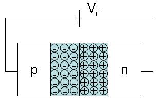 When an external voltage is applied, the internal potential will change and cause movement in the mobile charges; thus results in a net current flow as shown in Figure 2-3(a).