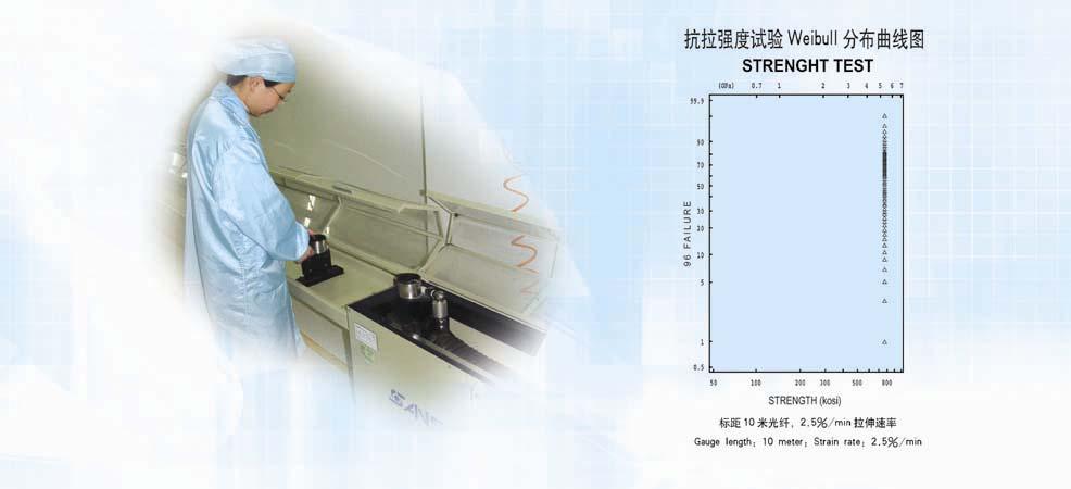 Products Mechanical Specifications Proof Test 1% Tensile Strength (10m Gauge Length) 15% Weibull probability