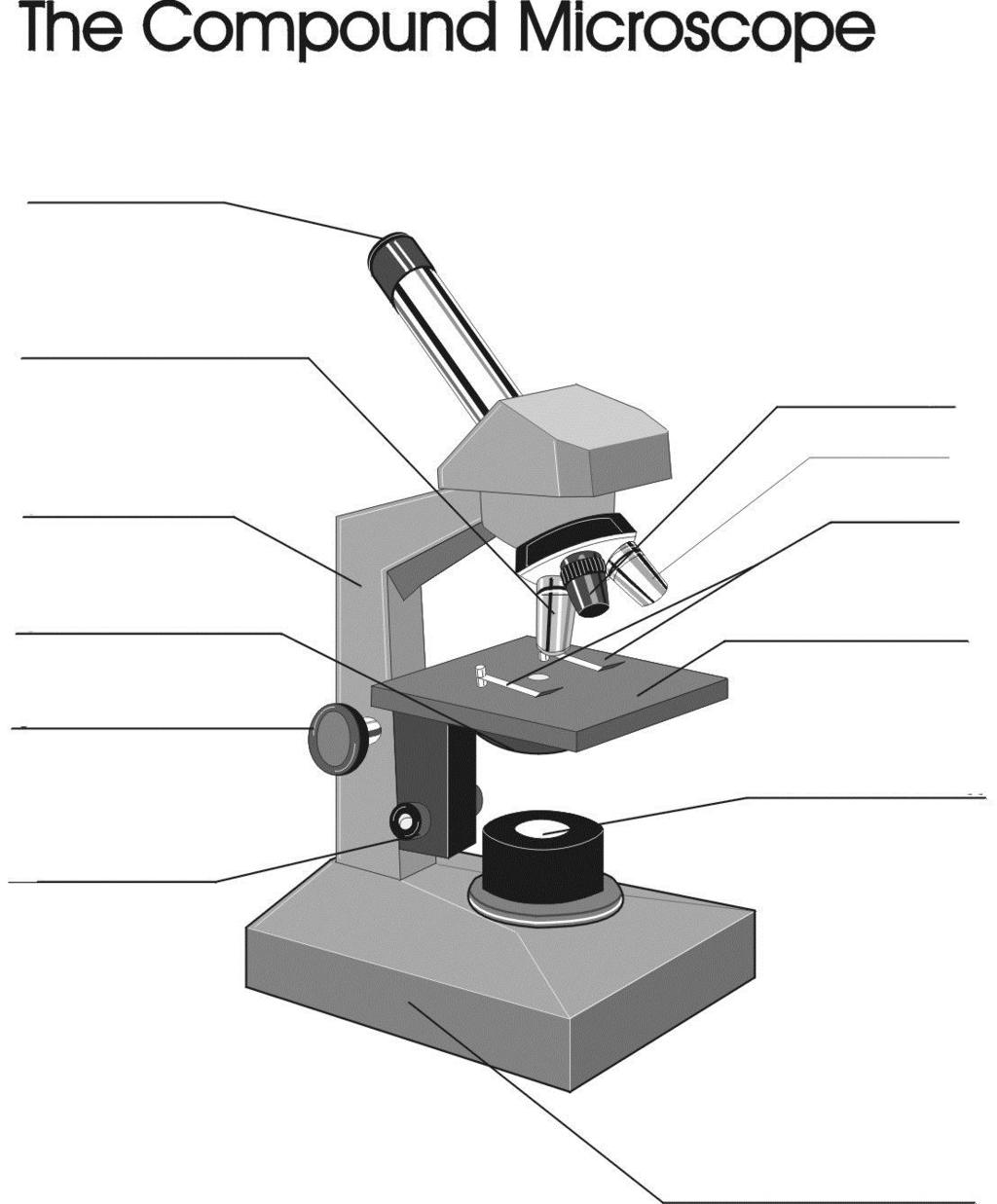 Parts of a Microscope 10. Eyepiece 9. High-Power Objective 1. Arm 7. Low-Power (Scanning) Objective 8.