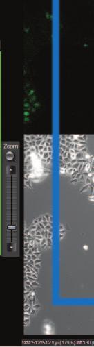 You can zoom or frame the imaging area with use of sophisticated menus.