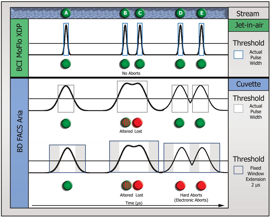 signal changes the data obtained. The XDP analyzes (B and C) events as two discrete measurements.