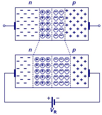 Diode in everse Bias When the N-type region of a diode is connected to a higher potential than the P-type region, the diode is under reverse