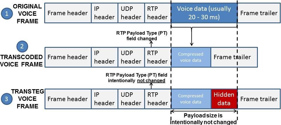 Fig. 1: Frame bearing voice payload encoded with overt codec (1), typically transcoded (2), and encoded with covert codec (3) The performance of TranSteg depends, most notably, on the characteristics