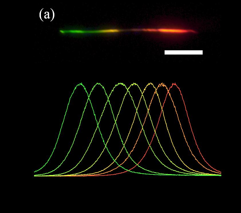 Figure 6.1 (a) Real color PL image of a CdSSe alloy nanowire. Scale bar is 20 μm. (b) PL spectra from this nanowire with localized pumping at 7 points along the nanowire.