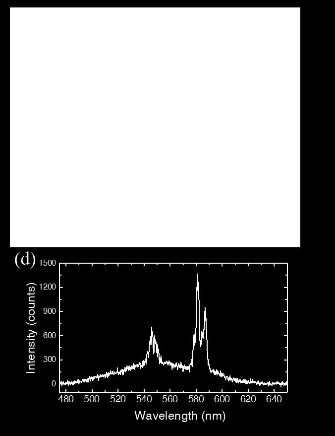 Figure 7.6 Two-color lasing from another looped nanowire. (a) The dark-field image of the looped nanowire. (b) Real-color PL image with CW excitation.