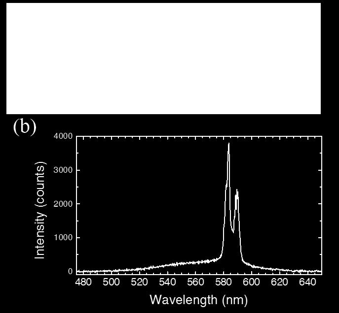 lasing. Figure 7.7 (a) Dark-field image of the nanowire in Figure 7.6. The loop was opened slightly so the ring cavity does not exist in this structure. (b) Lasing spectrum. 7.4 Dynamic Tuning of Output Laser Color One unique property of the looped nanowire design is the common output position for two-color lasing, as the analysis in Chapter 6.
