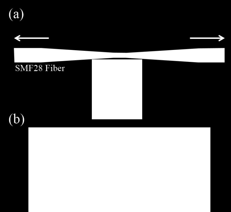 For the alignment, the tapered fibers are mounted on the 3D stages (XYZ) with an angle 10 20 to the horizontal and the nanowire sample is mounted on a 4D stage (XYZ & φ).