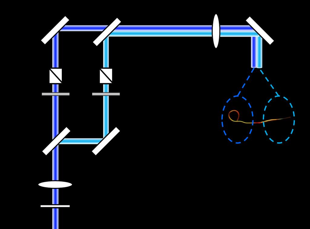 Figure A.6 Illustration of multi-beam excitation setup. The excitation beam is split by a beam splitter and converged by another beam splitter.