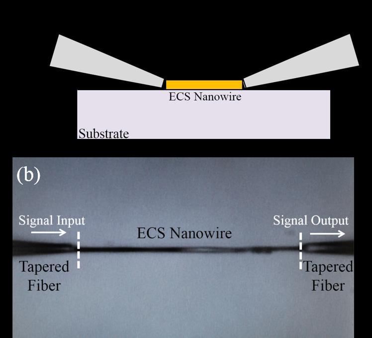 (b) Top view image of the fiber-nanowire-fiber coupling.