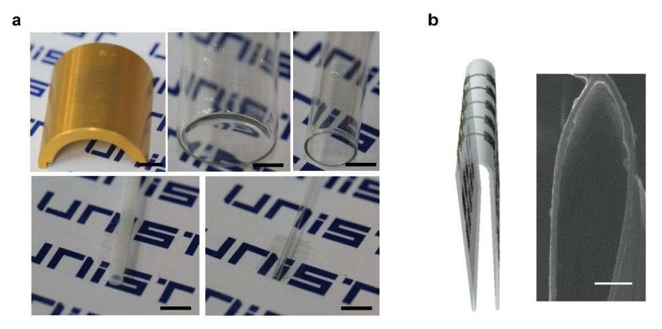 Supplementary Figure 4 Bending and folding image of graphene-agnw hybrid devices. (a) Photos of devices wrapped on various cylindrical supports with different radius.