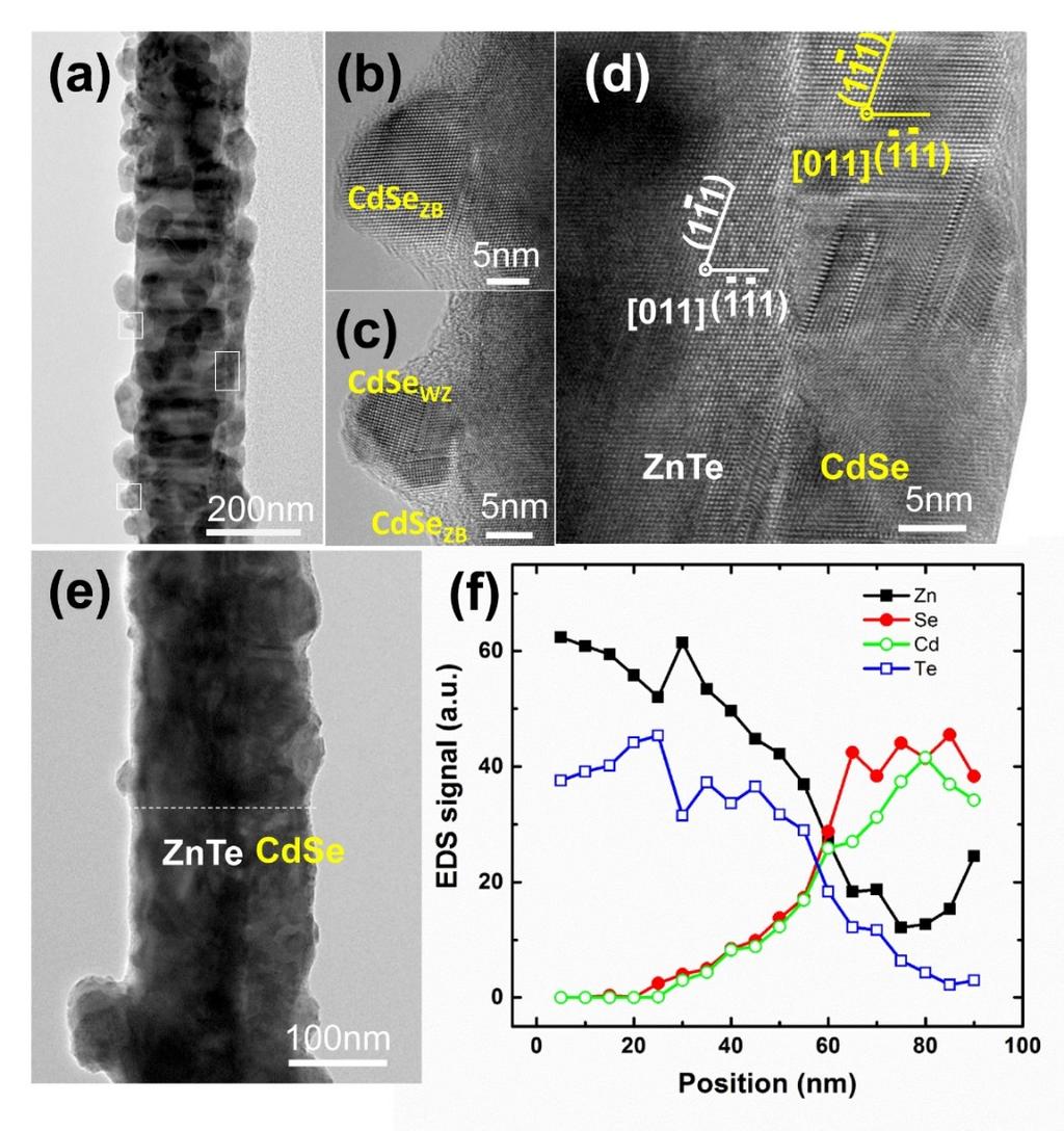 Figure S3. Structural analysis of ZnTe/CdSe nanowires. (a) Low magnification TEM images of ZnTe/CdSe nanowires.