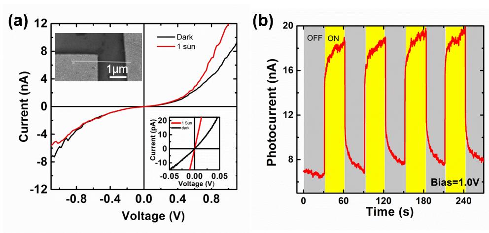 Figure S6. Electrical characterization of a single CdSe nanowire nanodevice. (a) Current-voltage (I-V) characteristic for a bare CdSe nanowire device under global AM 1.5 illumination and dark current.