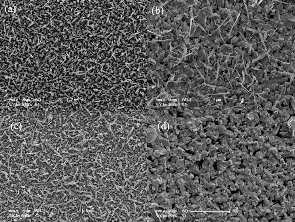 Figure S2: SEM images of the grown structures at different source temperatures of (a) 680 oc, (b) 670 oc, (c) 660 oc, and (d) 650 oc The substrate temperature is a crucial variable in VLS growth that