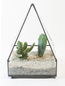 Level One Courses - continued Suitable for beginners Prices include VAT Build your own Terrarium Day Course Use the copper foiling technique to build and solder your own