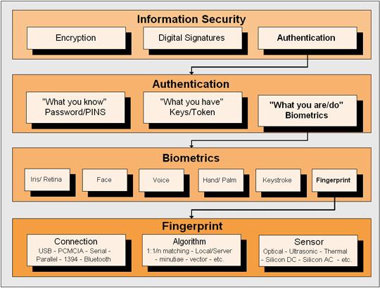Fig. 1 Various types of information security showing one possible decision path Source: Adopted from iosoftware.com [5].