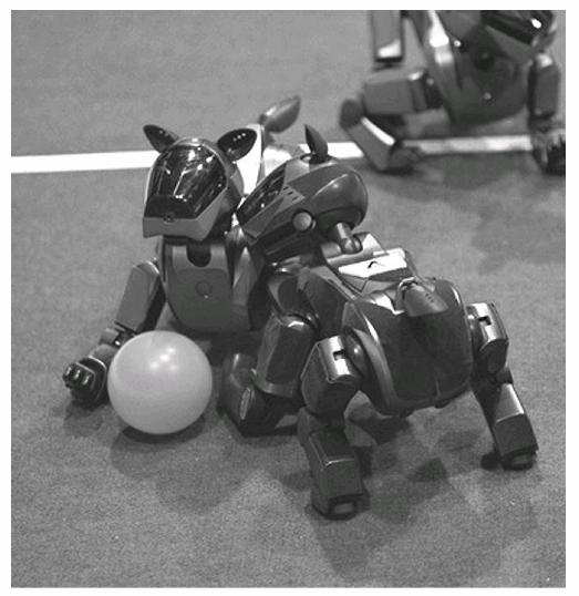 Research Prototypes Sony AIBO robot Available