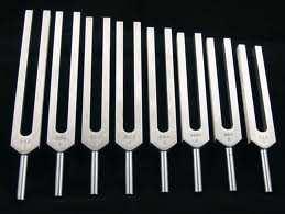 How can you prove the end of the tuning fork is vibrating and that it is making the sound? Try it!